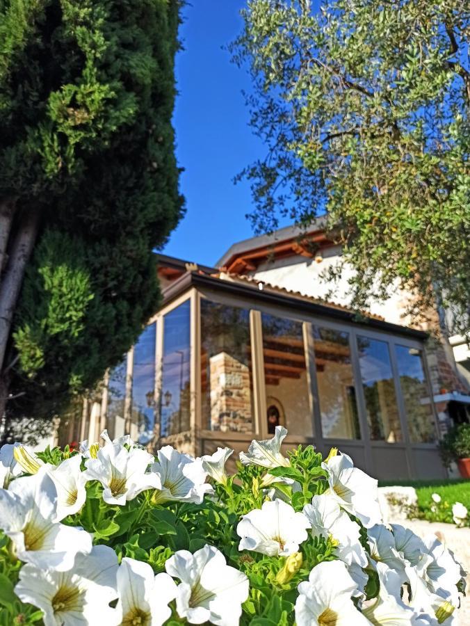 Le Zampolle B & B Кола Экстерьер фото