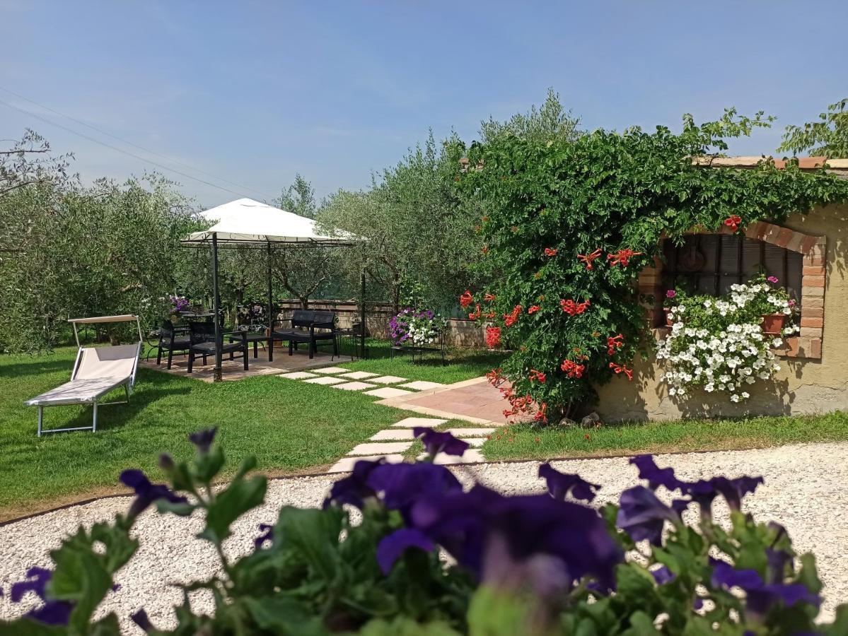 Le Zampolle B & B Кола Экстерьер фото